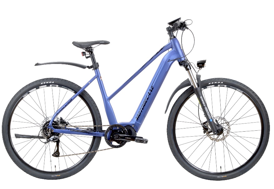 An image of an electric bike