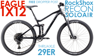 29 dual suspension mountain bike