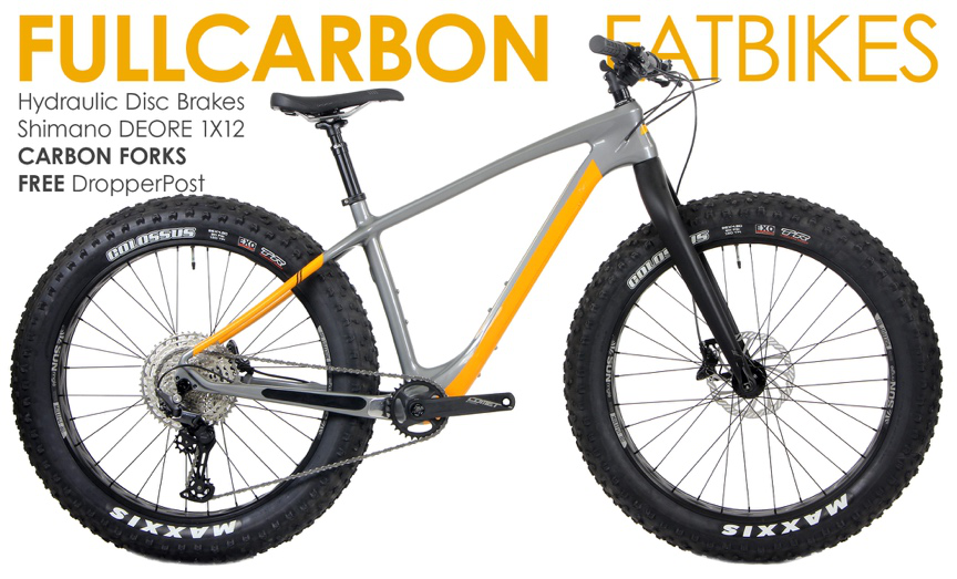 WFB FAT4000 carbon fat bike with wide Maxxis tires and hydraulic disc brakes for extreme terrain riding