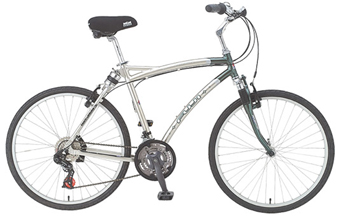 Leisure Bikes - Comfort Bikes Fuji Dynamic