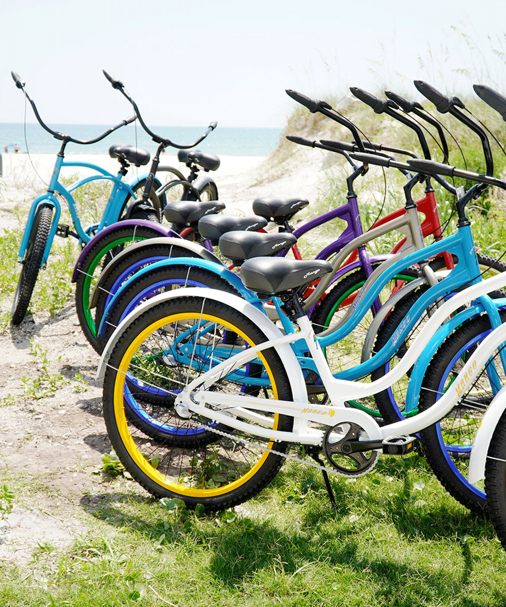 *ALL BIKES FREE SHIP 48Fast Custom Aluminum Cruiser Bikes, Mango Longboard Custom with Custom Design Fenders and Shimano Nexus Internal Shifting Systems