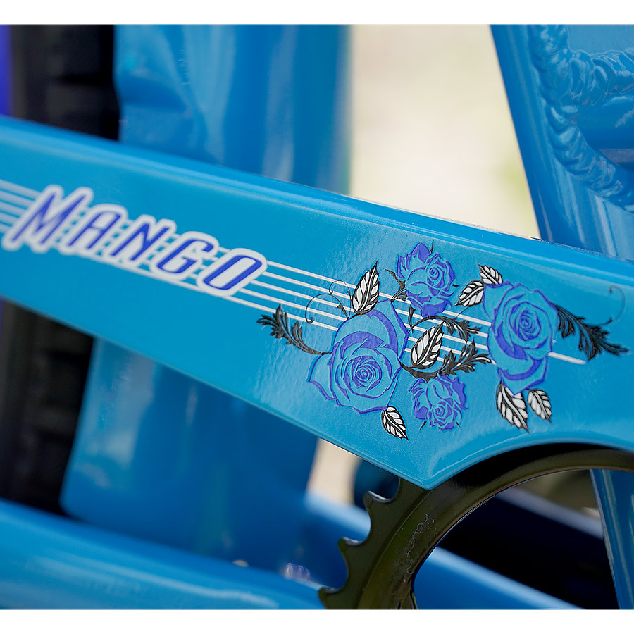 Custom Aluminum Cruiser Bikes, Mango Longboard Custom with Custom Design Fenders and Shimano Nexus Internal Shifting Systems