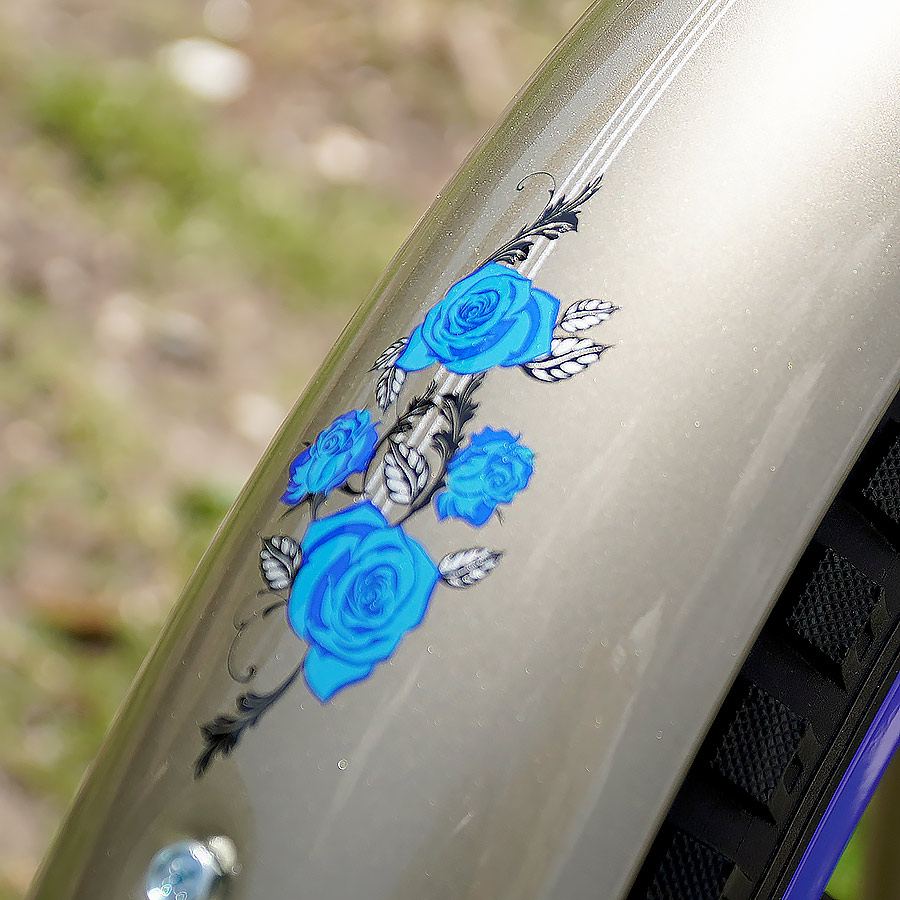 Custom Aluminum Cruiser Bikes, Mango Longboard Custom with Custom Design Fenders and Shimano Nexus Internal Shifting Systems
