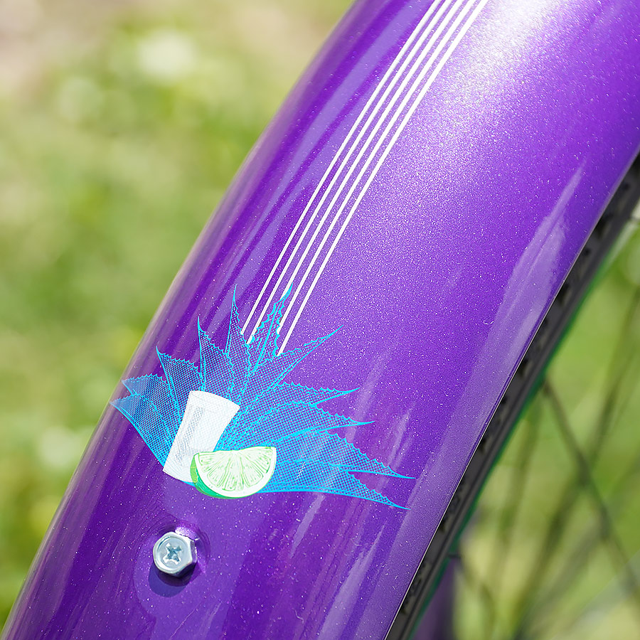 Custom Aluminum Cruiser Bikes, Mango Longboard Custom with Custom Design Fenders and Shimano Nexus Internal Shifting Systems