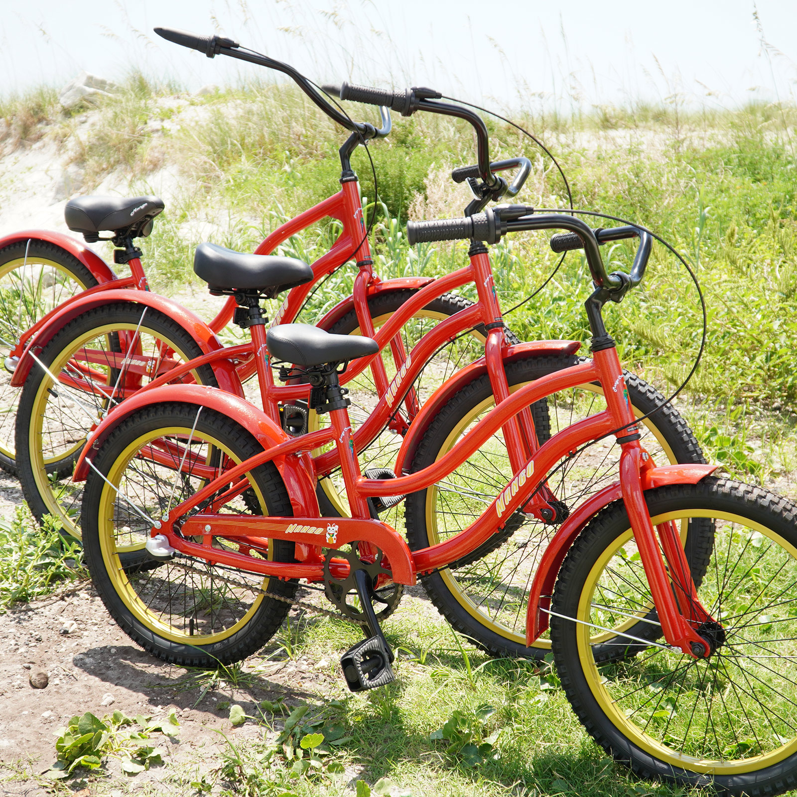 Custom Kids Aluminum Cruiser Bikes, Mango Parakeet Custom with Custom Design Fenders and Shimano Nexus Internal Shifting Systems