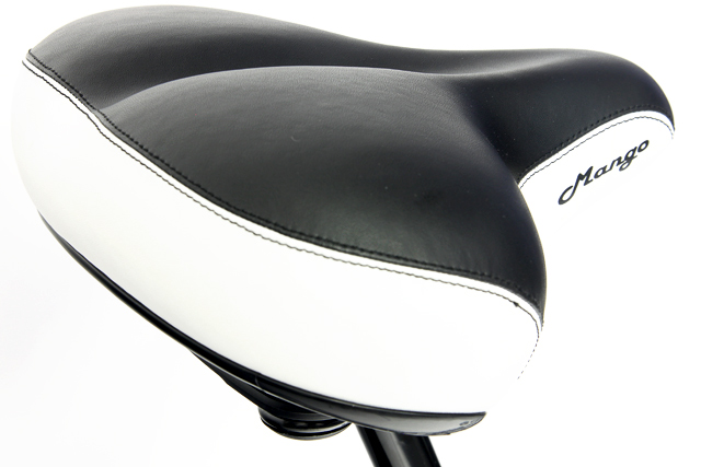 Mango parrot beach cruiser online