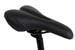 sst_al_saddle