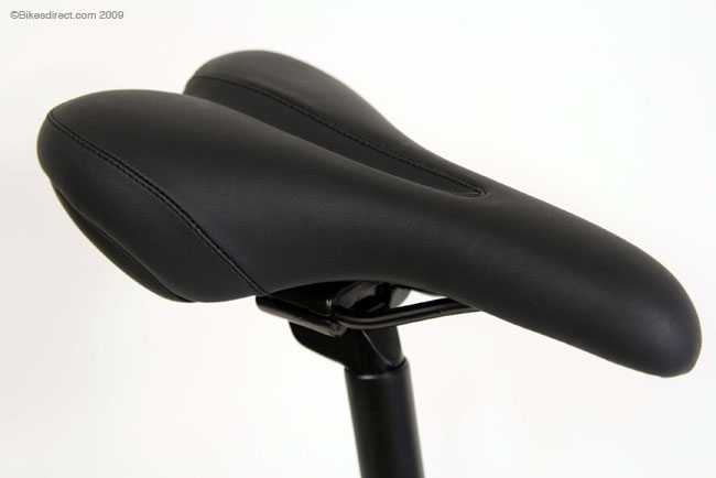 sst_al_saddle