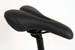 sst_al_saddle