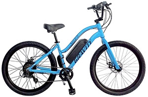Women Specific MTB 21Spd Suspension Forks, Light/Strong ALU, WTB Ladies Seat, V Brakes Mercier Elle Adventure