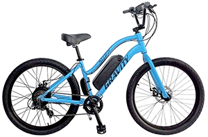 Women Specific MTB 21Spd Suspension Forks, Light/Strong ALU, WTB Ladies Seat, V Brakes Mercier Elle Adventure