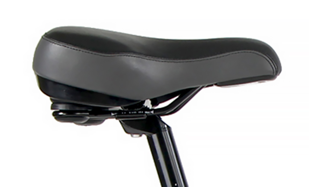 Blue Flatbar Comfort HybridGravity Swift 21 Mountain Bike