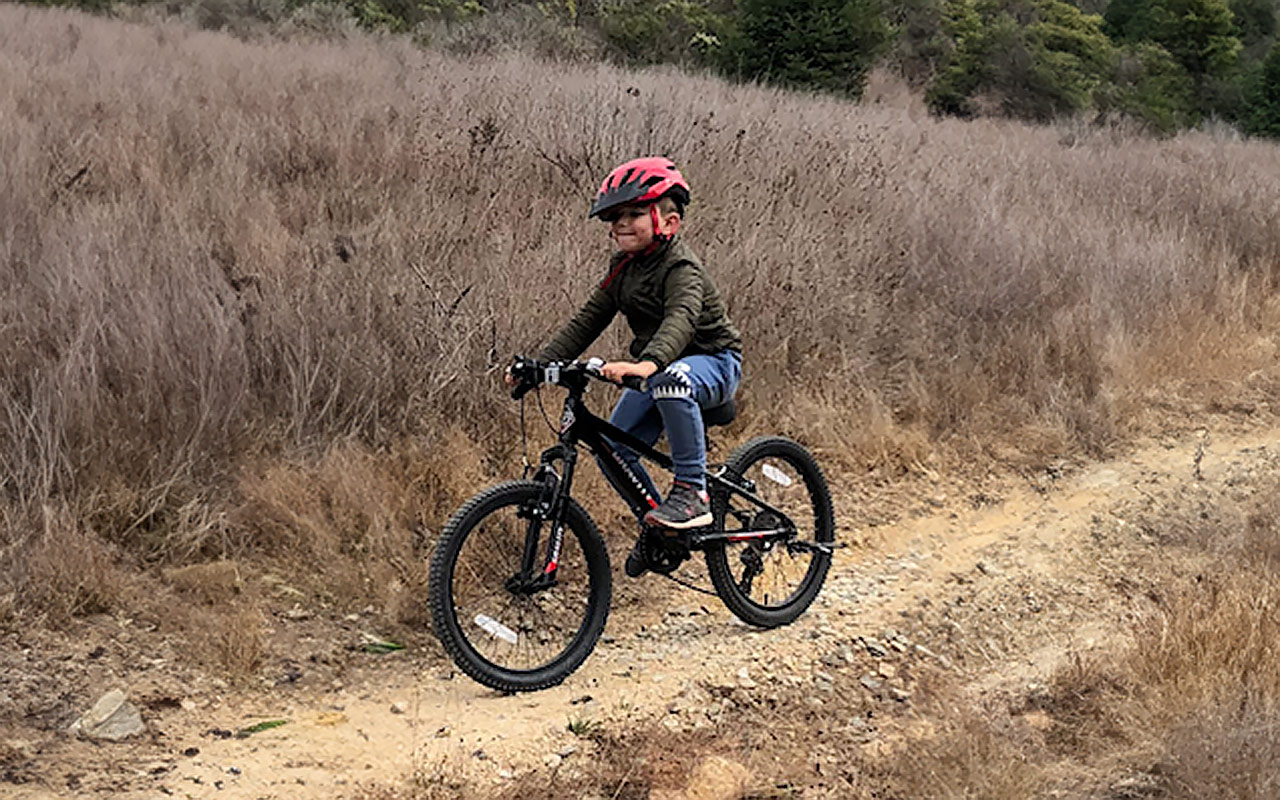 Riser Bars on Aluminum Mountain Gravity Nugget Kids MTB DJ Aluminum Bikes