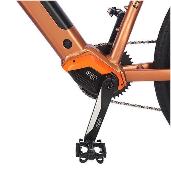 Head e bikes online