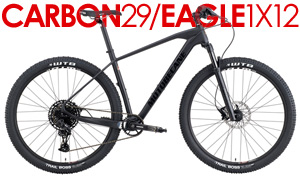 CARBON 29er Mountain Bikes with Rockshox Forks Pro Parts, 1x12 or 2X10 Spd | Compare $2600 SALE from $999 Click Here to Save Up To 60%