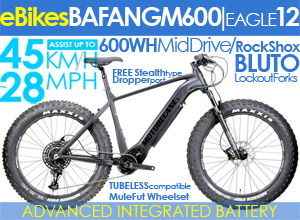 Front Suspension Electric FatBikes  750WATT BAFANG Throttle HubDrive