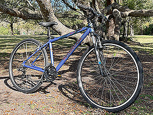 Motobecane Flat Bar Gravel Bikes
Flat Bar, Wide Tires, Shimano 21Spd with Powerful V Brakes, Light/Strong Aluminum Design, Comfy Suspension Forks with Bottle Brazeons on Frame