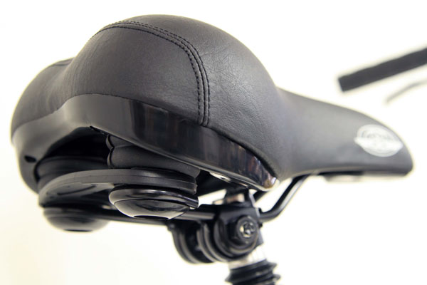 efs_saddle3