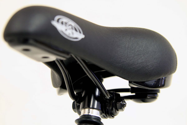 efs_saddle4
