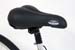 efs_saddle1