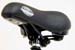 efs_saddle4