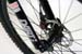 ft_trail_fork3