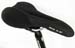 iceb_saddle