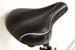 saddle2