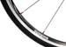 rim