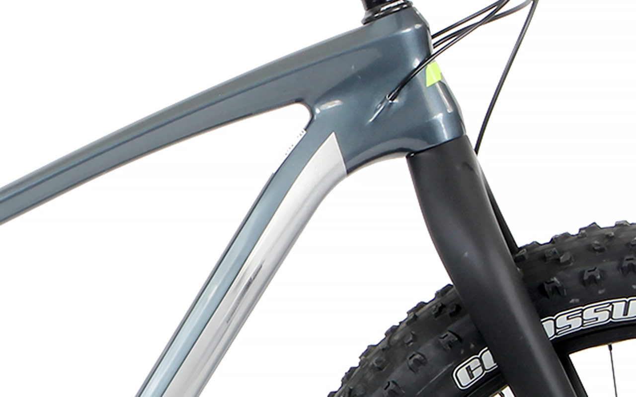 FULL CARBON Fat Bikes