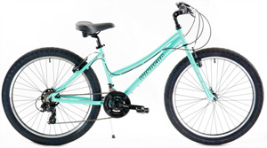 DOVER 1 
Mens/Ladies Aluminum Hybrids
Compare $699 | SALE $349 
Shop Now Click HERE (Ltd Qtys,CheckOutASAP)