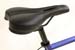 saddle
